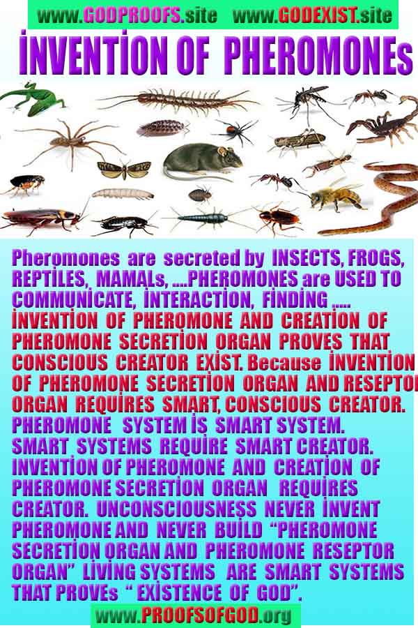 what are the proofs of God?