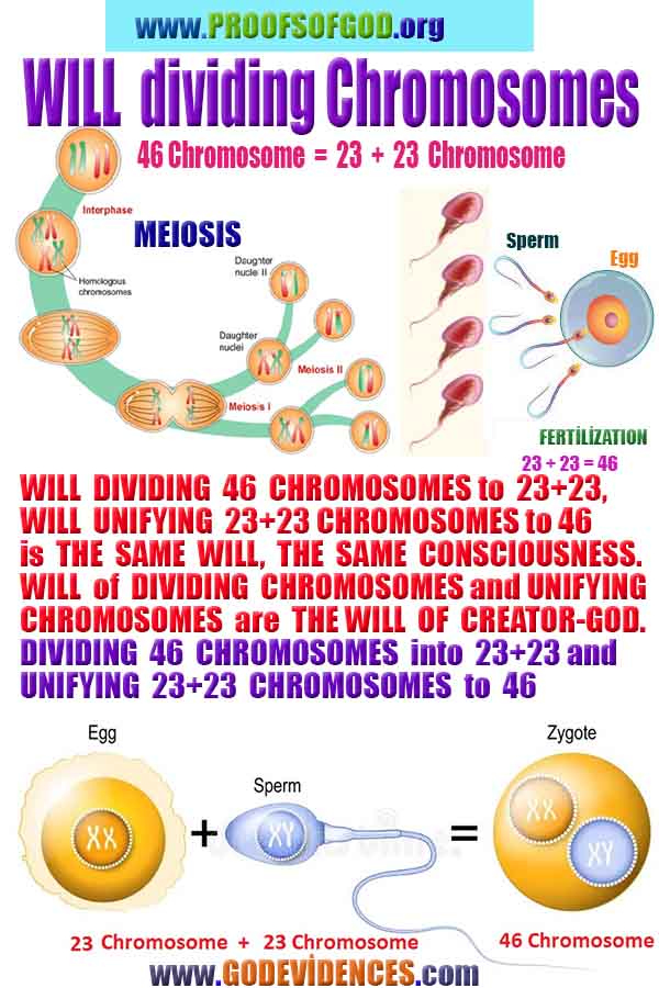 how to find god, what are proofs of god? god exists