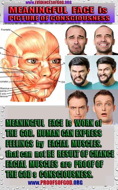 how to find god, what are proofs of god? god exists proofs