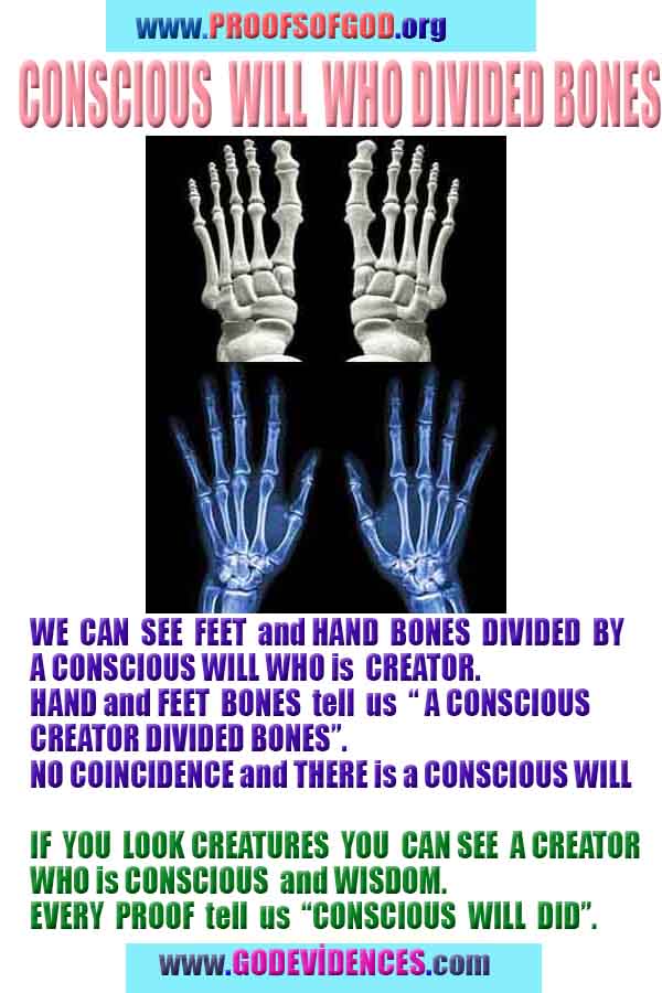 what are the evidences of God?