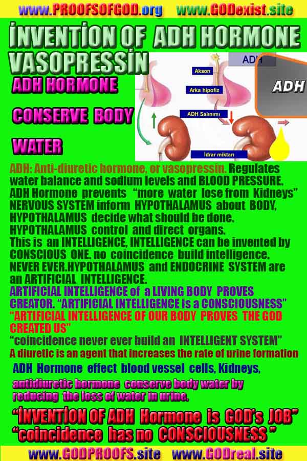 what are the proofs of God?