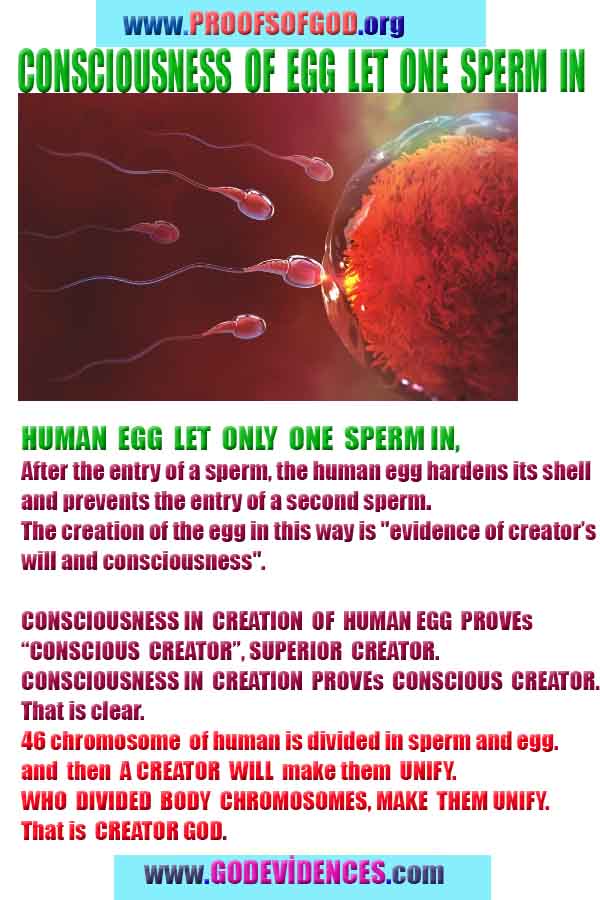 how to find god, what are proofs of god? god exists