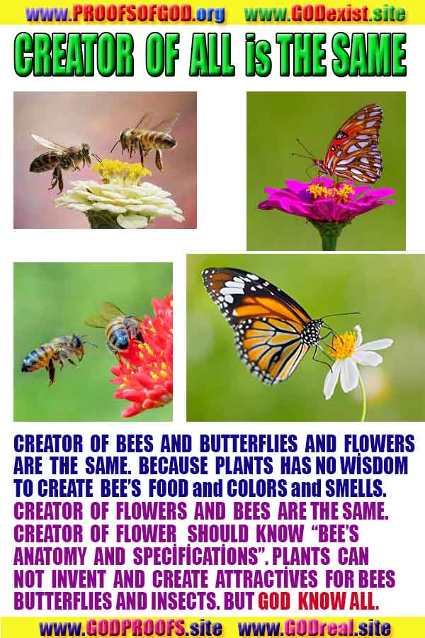 what are the proofs of God?